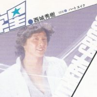41.-南十字星